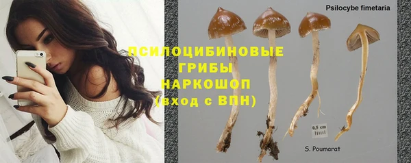 мдпв Арсеньев