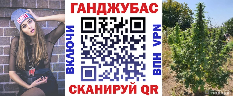 Марихуана MAZAR  как найти закладки  Хвалынск 